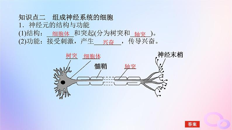 2024版新教材高考生物全程一轮总复习第八单元生命活动的调节课堂互动探究案2神经调节课件第8页