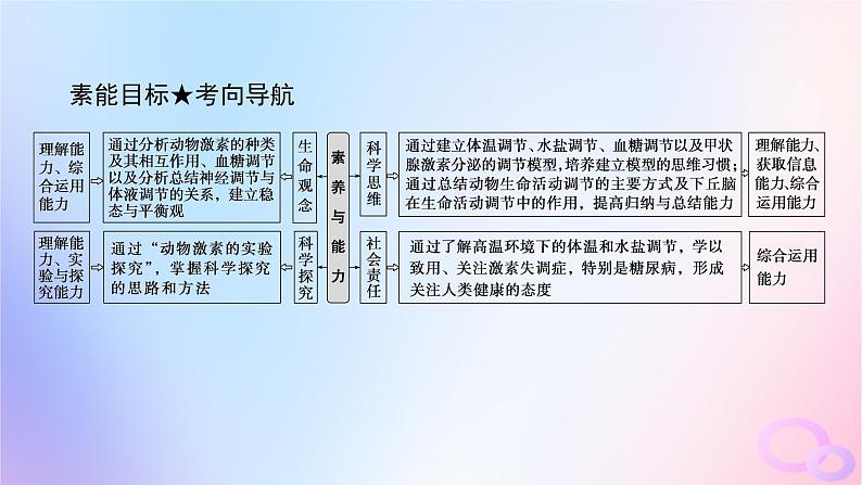 2024版新教材高考生物全程一轮总复习第八单元生命活动的调节课堂互动探究案3激素调节及体液调节与神经调节的关系课件第4页