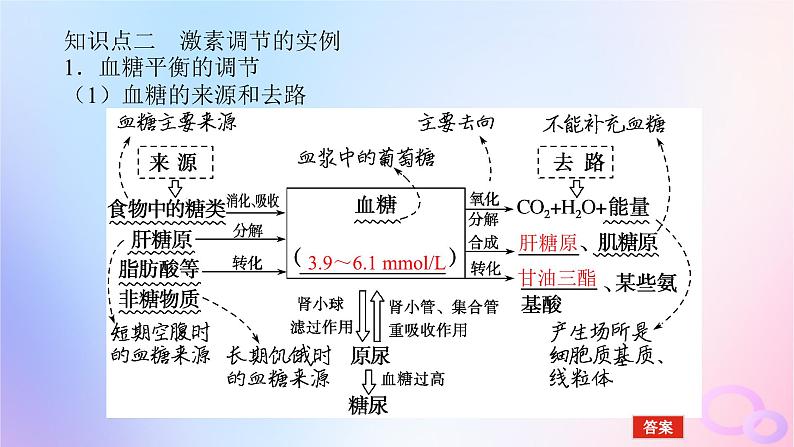 2024版新教材高考生物全程一轮总复习第八单元生命活动的调节课堂互动探究案3激素调节及体液调节与神经调节的关系课件第7页