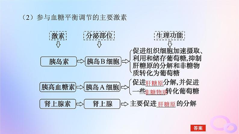 2024版新教材高考生物全程一轮总复习第八单元生命活动的调节课堂互动探究案3激素调节及体液调节与神经调节的关系课件第8页