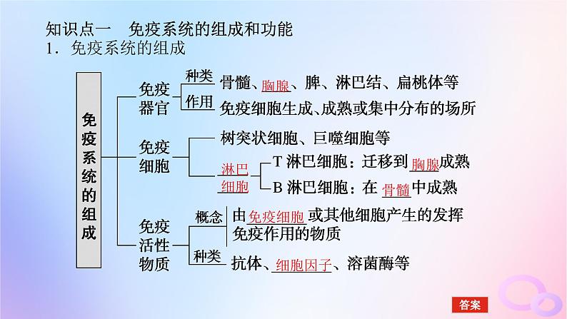 2024版新教材高考生物全程一轮总复习第八单元生命活动的调节课堂互动探究案4免疫调节课件05