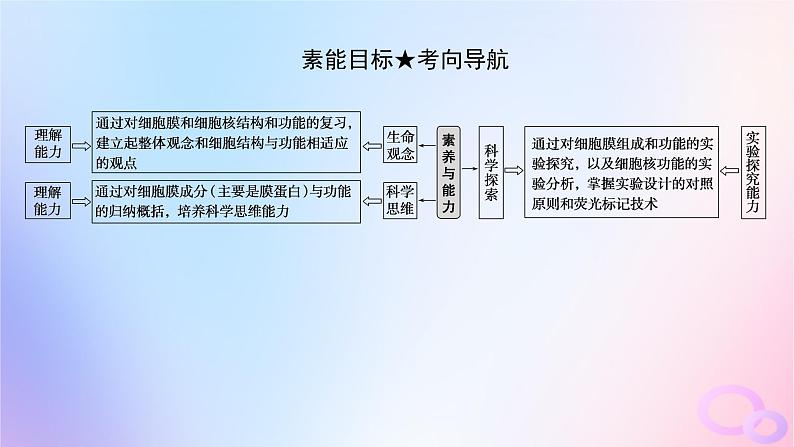 2024版新教材高考生物全程一轮总复习第二单元细胞的基本结构和物质运输功能课堂互动探究案1细胞膜与细胞核课件第4页