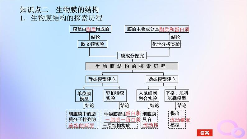 2024版新教材高考生物全程一轮总复习第二单元细胞的基本结构和物质运输功能课堂互动探究案1细胞膜与细胞核课件第6页