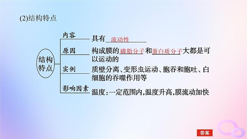 2024版新教材高考生物全程一轮总复习第二单元细胞的基本结构和物质运输功能课堂互动探究案1细胞膜与细胞核课件第8页