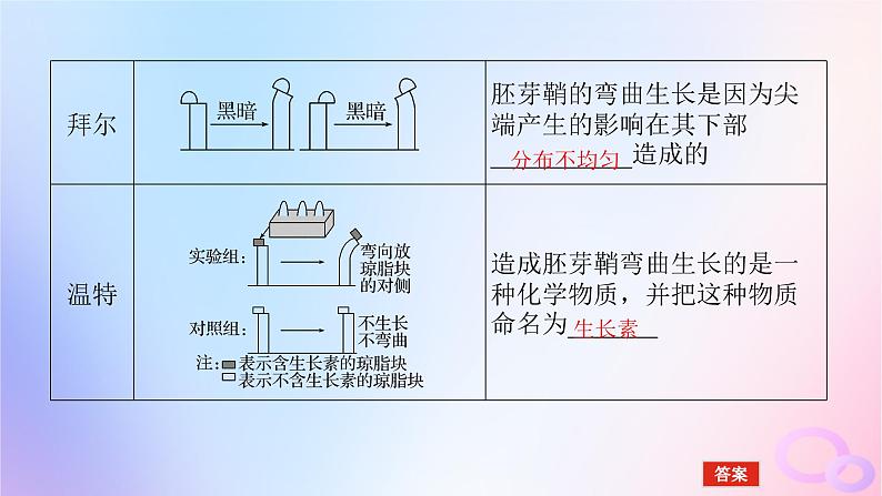 2024版新教材高考生物全程一轮总复习第九单元植物生命活动的调节课堂互动探究案植物的激素调节课件第6页