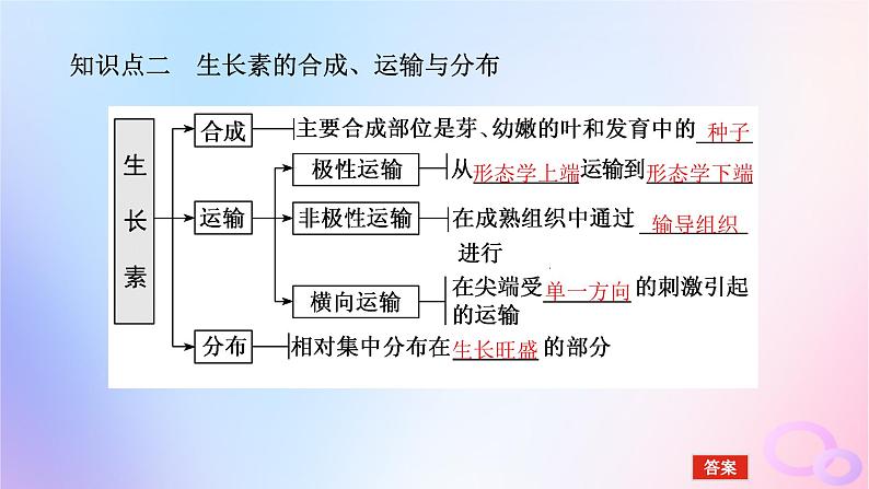 2024版新教材高考生物全程一轮总复习第九单元植物生命活动的调节课堂互动探究案植物的激素调节课件第8页