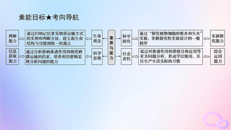 2024版新教材高考生物全程一轮总复习第二单元细胞的基本结构和物质运输功能课堂互动探究案3细胞的物质输入和输出课件04