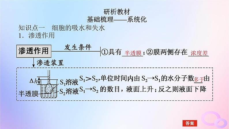 2024版新教材高考生物全程一轮总复习第二单元细胞的基本结构和物质运输功能课堂互动探究案3细胞的物质输入和输出课件05