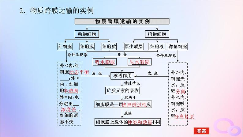 2024版新教材高考生物全程一轮总复习第二单元细胞的基本结构和物质运输功能课堂互动探究案3细胞的物质输入和输出课件06