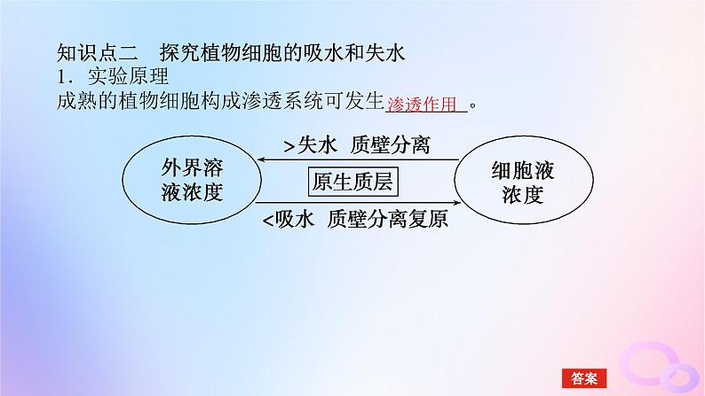 2024版新教材高考生物全程一轮总复习第二单元细胞的基本结构和物质运输功能课堂互动探究案3细胞的物质输入和输出课件07