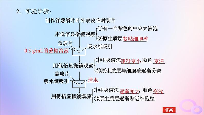 2024版新教材高考生物全程一轮总复习第二单元细胞的基本结构和物质运输功能课堂互动探究案3细胞的物质输入和输出课件08