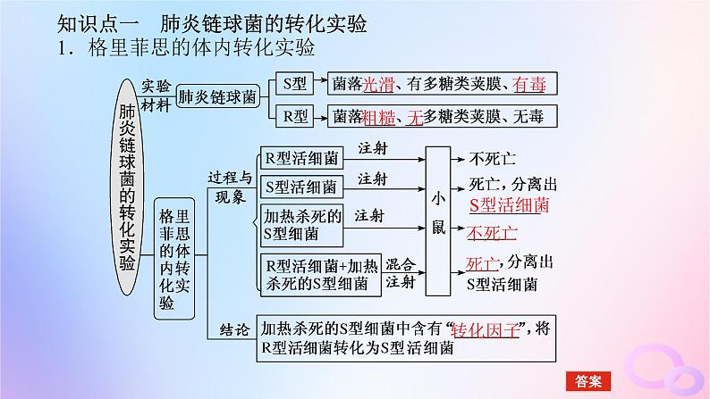 2024版新教材高考生物全程一轮总复习第六单元遗传的分子基础课堂互动探究案1遗传物质的经典探究实验课件第5页