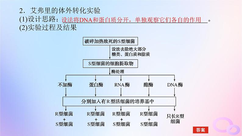 2024版新教材高考生物全程一轮总复习第六单元遗传的分子基础课堂互动探究案1遗传物质的经典探究实验课件第6页