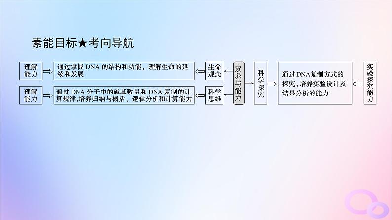 2024版新教材高考生物全程一轮总复习第六单元遗传的分子基础课堂互动探究案2DNA的结构复制及基因通常是有遗传效应的DNA片段课件04