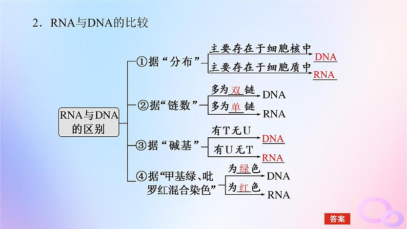 2024版新教材高考生物全程一轮总复习第六单元遗传的分子基础课堂互动探究案3基因指导蛋白质的合成及其与性状的关系课件06