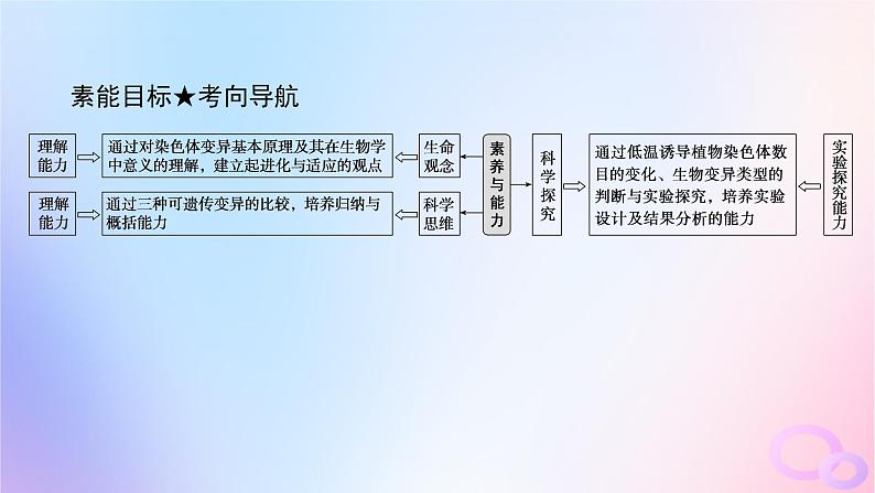 2024版新教材高考生物全程一轮总复习第七单元生物的变异与进化课堂互动探究案2染色体变异课件04