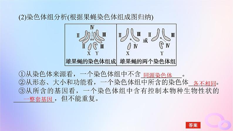 2024版新教材高考生物全程一轮总复习第七单元生物的变异与进化课堂互动探究案2染色体变异课件06