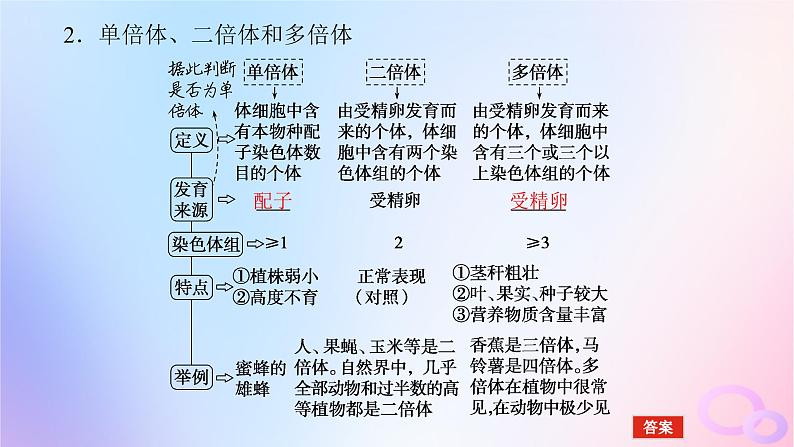 2024版新教材高考生物全程一轮总复习第七单元生物的变异与进化课堂互动探究案2染色体变异课件07