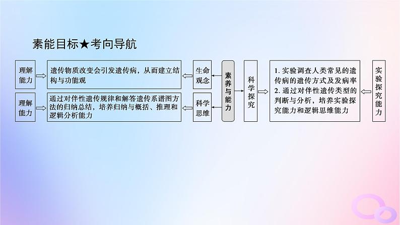 2024版新教材高考生物全程一轮总复习第七单元生物的变异与进化课堂互动探究案3人类遗传课件第4页