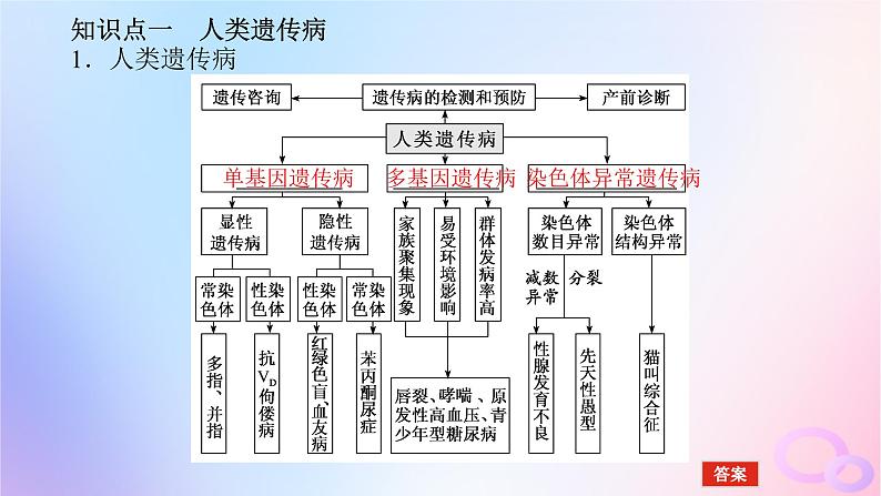 2024版新教材高考生物全程一轮总复习第七单元生物的变异与进化课堂互动探究案3人类遗传课件第5页