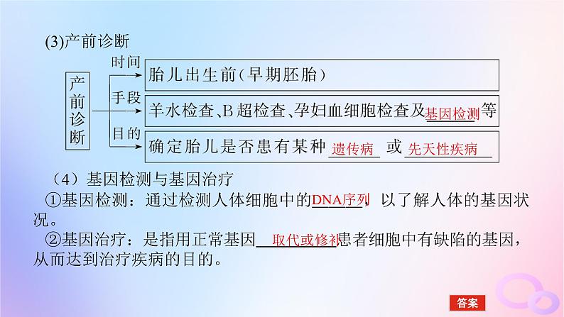 2024版新教材高考生物全程一轮总复习第七单元生物的变异与进化课堂互动探究案3人类遗传课件第7页