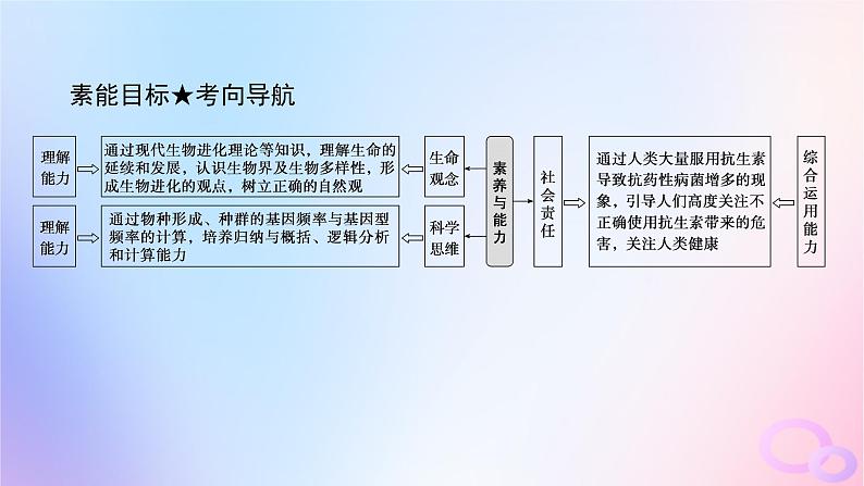 2024版新教材高考生物全程一轮总复习第七单元生物的变异与进化课堂互动探究案4生物的进化课件第4页