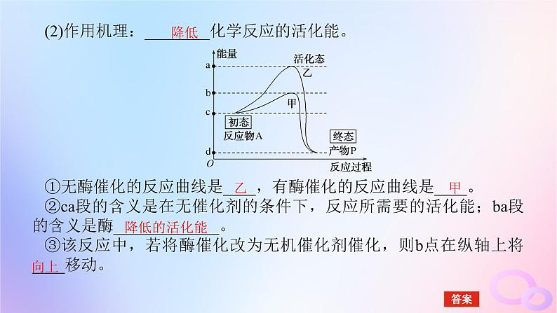 2024版新教材高考生物全程一轮总复习第三单元细胞的能量供应和利用课堂互动探究案1酶与ATP课件第8页
