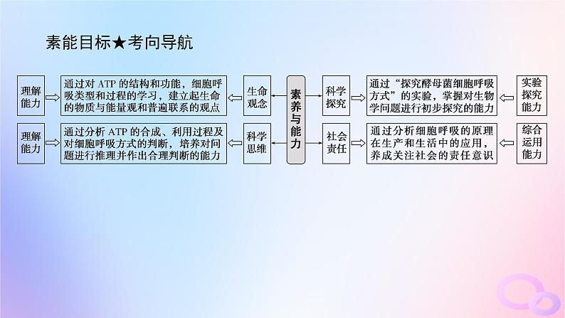 2024版新教材高考生物全程一轮总复习第三单元细胞的能量供应和利用课堂互动探究案2细胞呼吸课件第4页