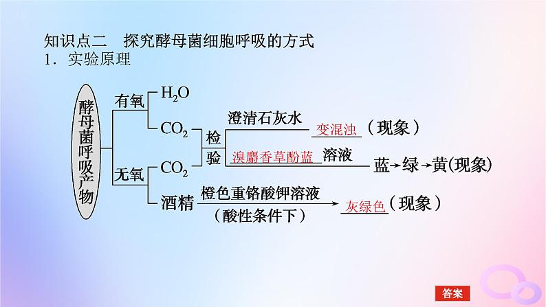 2024版新教材高考生物全程一轮总复习第三单元细胞的能量供应和利用课堂互动探究案2细胞呼吸课件第6页