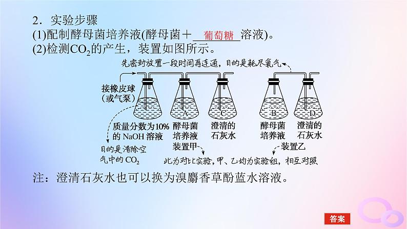 2024版新教材高考生物全程一轮总复习第三单元细胞的能量供应和利用课堂互动探究案2细胞呼吸课件第7页