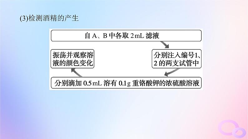 2024版新教材高考生物全程一轮总复习第三单元细胞的能量供应和利用课堂互动探究案2细胞呼吸课件第8页