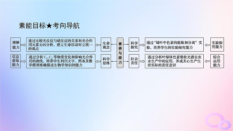 2024版新教材高考生物全程一轮总复习第三单元细胞的能量供应和利用课堂互动探究案3光合作用课件第4页