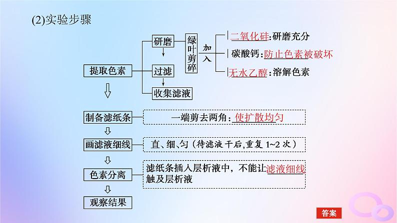 2024版新教材高考生物全程一轮总复习第三单元细胞的能量供应和利用课堂互动探究案3光合作用课件第6页