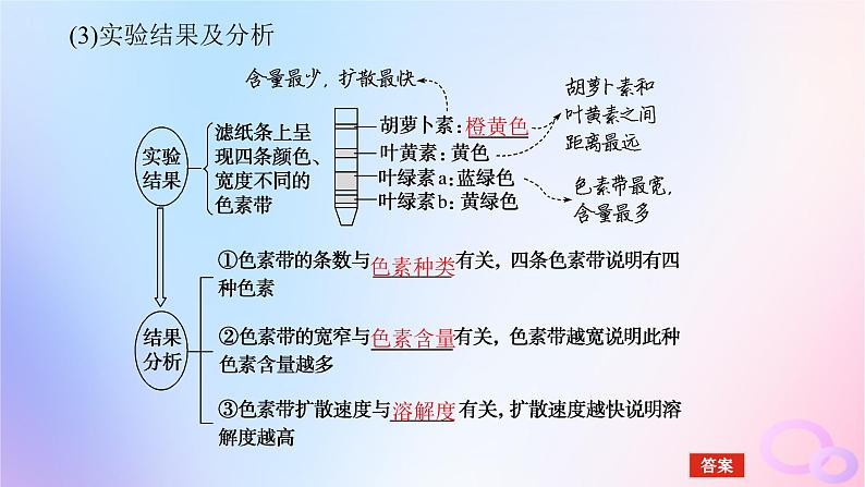 2024版新教材高考生物全程一轮总复习第三单元细胞的能量供应和利用课堂互动探究案3光合作用课件第7页