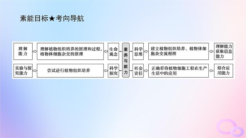 2024版新教材高考生物全程一轮总复习第十二单元生物技术与工程课堂互动探究案3植物细胞工程课件04