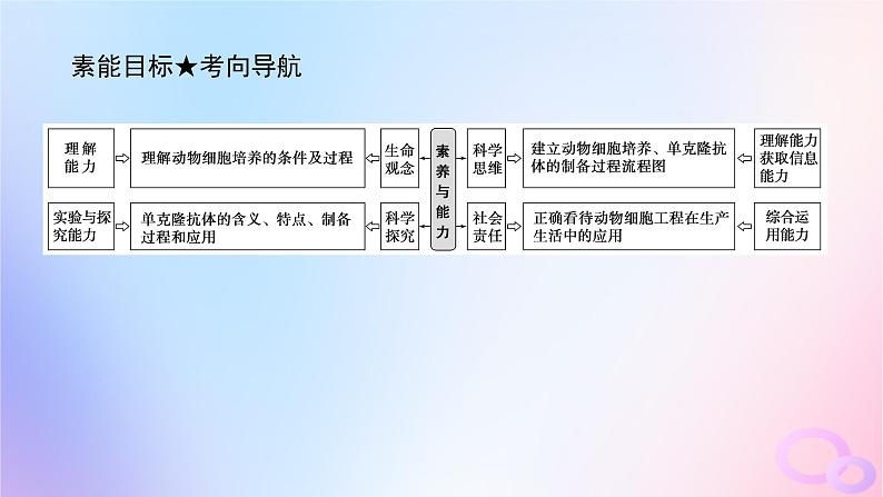 2024版新教材高考生物全程一轮总复习第十二单元生物技术与工程课堂互动探究案4动物细胞工程课件第4页