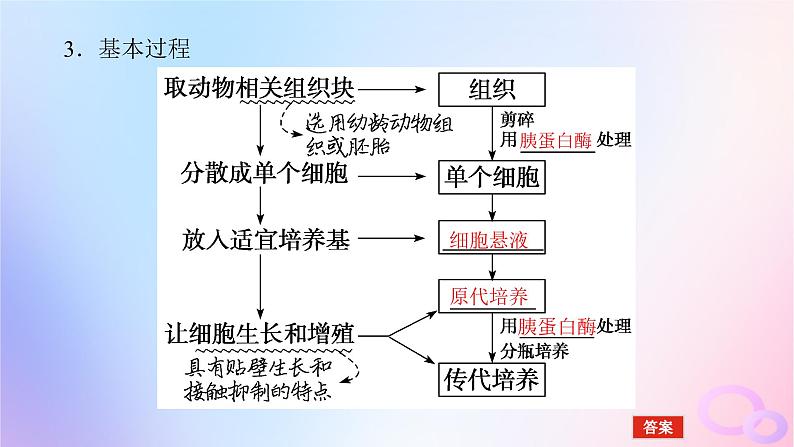 2024版新教材高考生物全程一轮总复习第十二单元生物技术与工程课堂互动探究案4动物细胞工程课件第7页