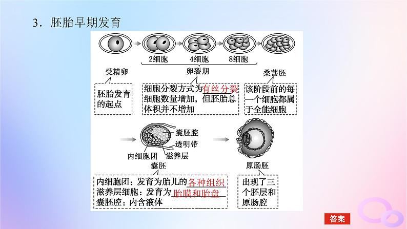 2024版新教材高考生物全程一轮总复习第十二单元生物技术与工程课堂互动探究案5胚胎工程课件第7页