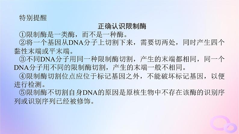 2024版新教材高考生物全程一轮总复习第十二单元生物技术与工程课堂互动探究案6基因工程及生物技术的安全性与伦理问题课件第7页