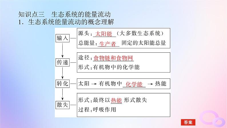 2024版新教材高考生物全程一轮总复习第十一单元生态系统与环境保护课堂互动探究案1生态系统的结构与能量流动课件第8页