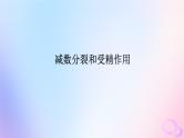 2024版新教材高考生物全程一轮总复习第四单元细胞的生命历程课堂互动探究案2减数分裂和受精作用课件