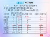 2024版新教材高考生物全程一轮总复习第四单元细胞的生命历程课堂互动探究案2减数分裂和受精作用课件