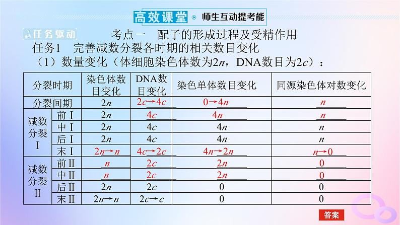 2024版新教材高考生物全程一轮总复习第四单元细胞的生命历程课堂互动探究案2减数分裂和受精作用课件第5页