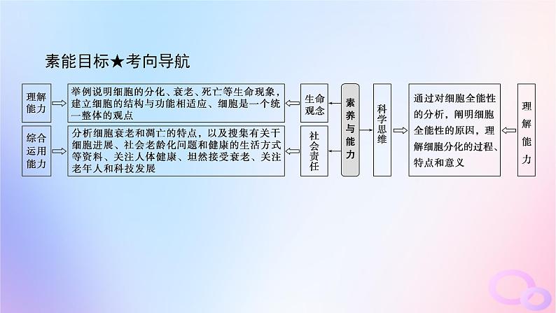 2024版新教材高考生物全程一轮总复习第四单元细胞的生命历程课堂互动探究案3细胞的分化衰老和死亡课件第4页