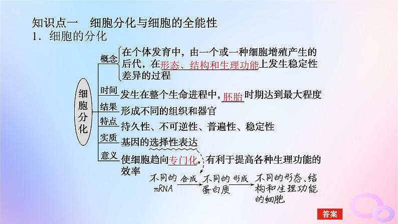 2024版新教材高考生物全程一轮总复习第四单元细胞的生命历程课堂互动探究案3细胞的分化衰老和死亡课件第5页