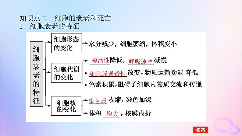 2024版新教材高考生物全程一轮总复习第四单元细胞的生命历程课堂互动探究案3细胞的分化衰老和死亡课件第8页