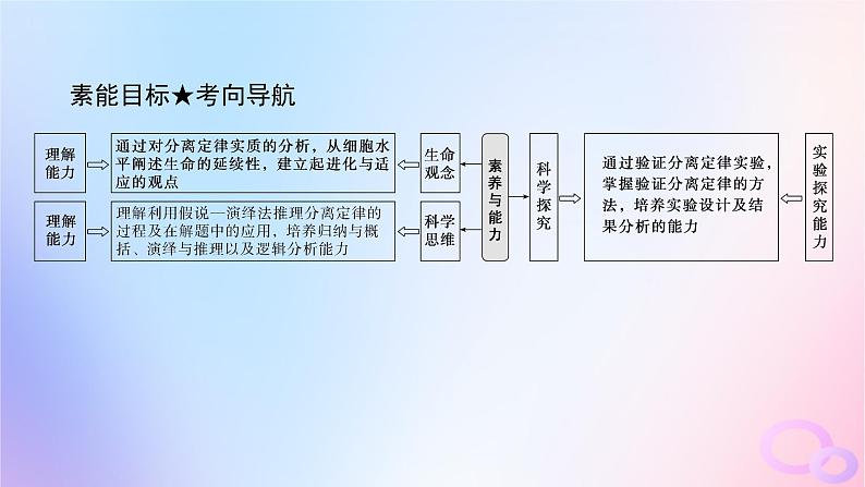 2024版新教材高考生物全程一轮总复习第五单元遗传的基本规律课堂互动探究案1孟德尔的豌豆杂交实验一课件04