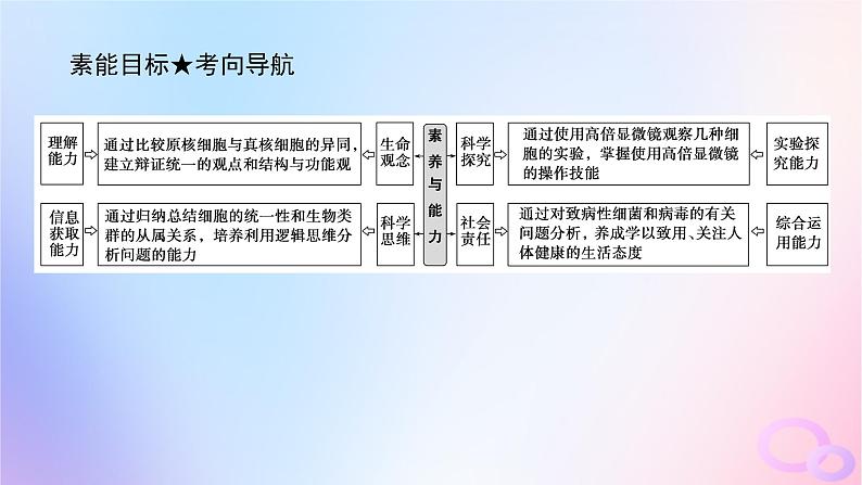 2024版新教材高考生物全程一轮总复习第一单元走近细胞及组成细胞的分子课堂互动探究案1借助显微镜走近细胞课件第4页