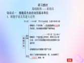 2024版新教材高考生物全程一轮总复习第一单元走近细胞及组成细胞的分子课堂互动探究案1借助显微镜走近细胞课件