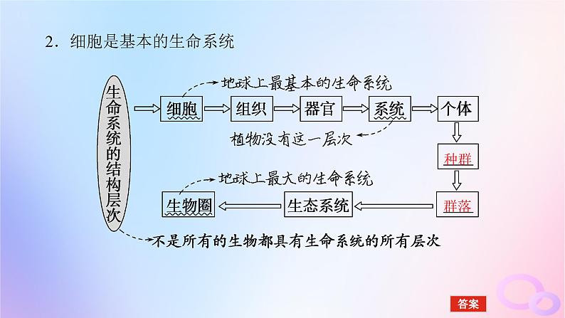 2024版新教材高考生物全程一轮总复习第一单元走近细胞及组成细胞的分子课堂互动探究案1借助显微镜走近细胞课件第6页